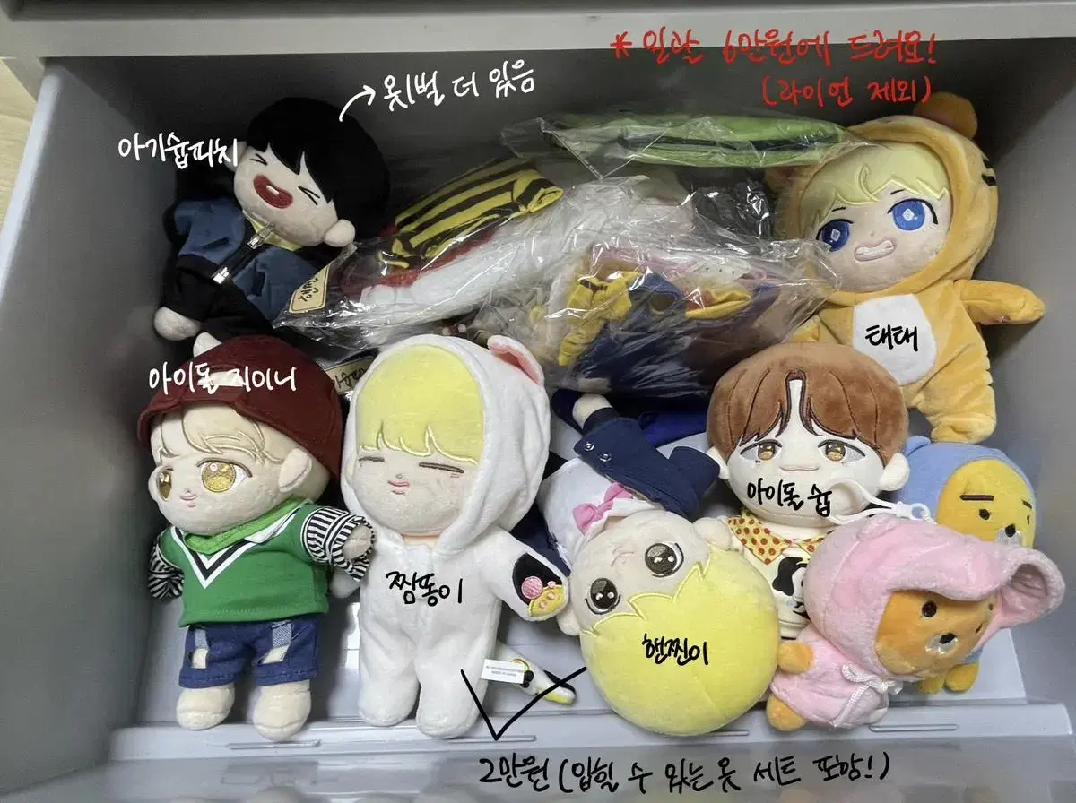 방탄인형(원가보다 절반 이하로 팔아요)