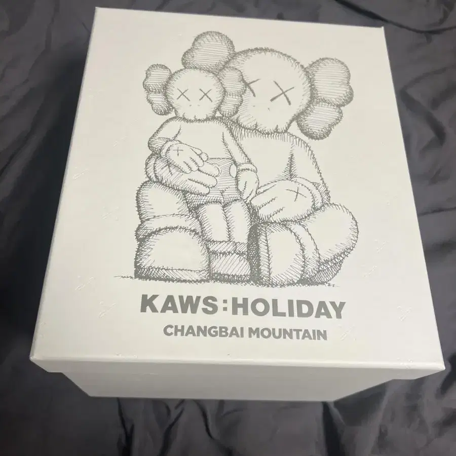 kaws 카우스 장백산 화이트