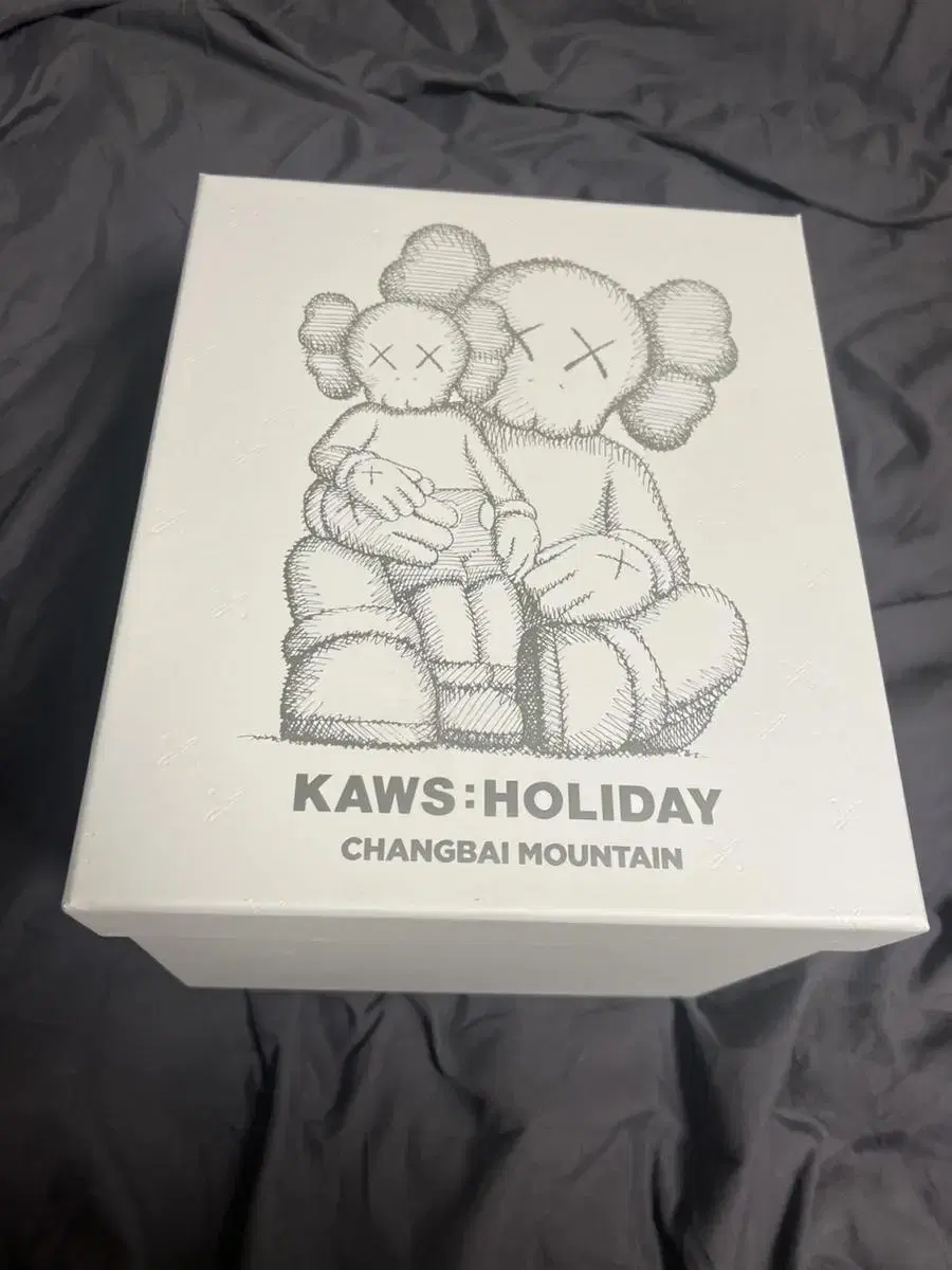 kaws 카우스 장백산 화이트