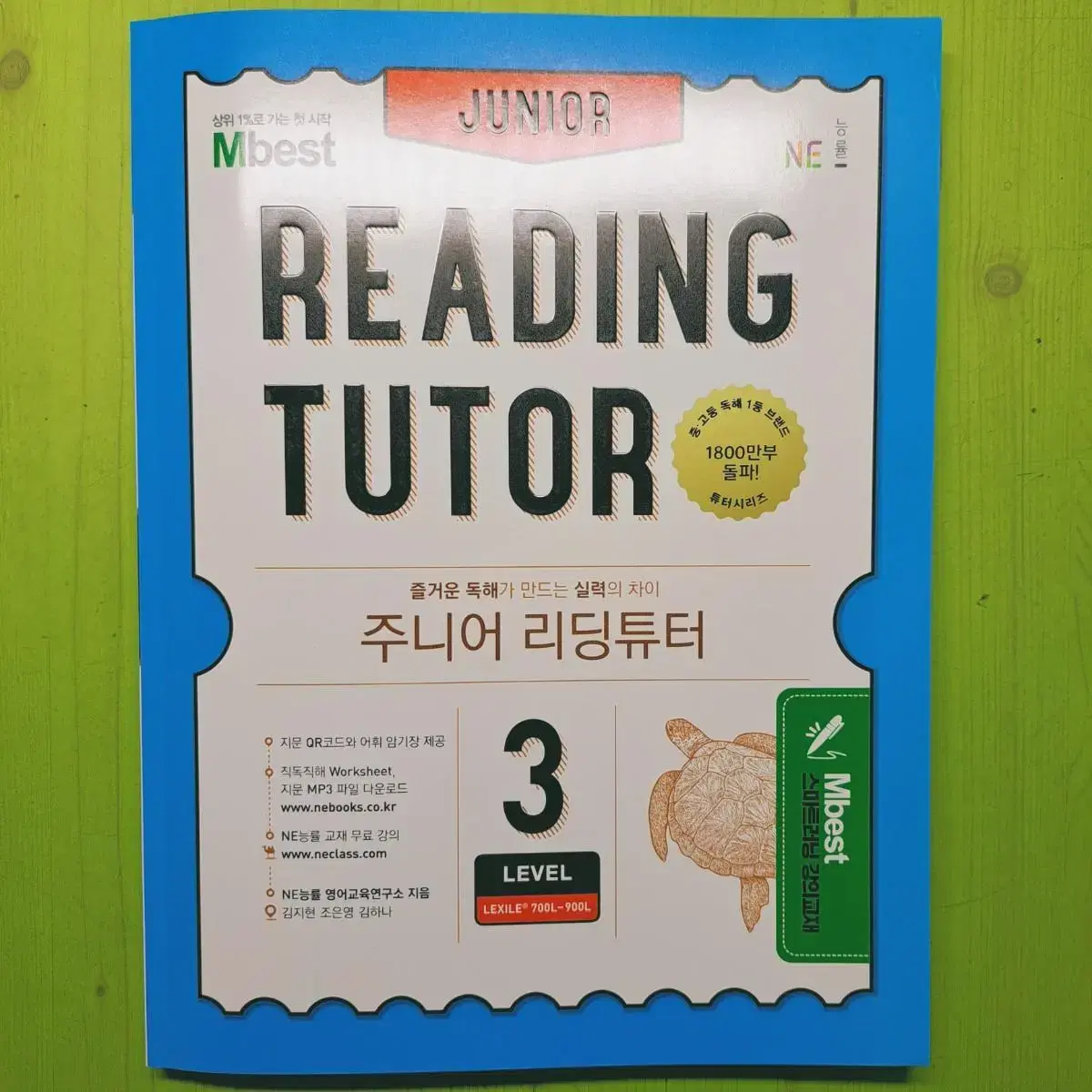 Junior Reading Tutor Level 3 (Secondary English)