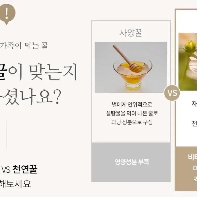 끌레르허니 천연 꿀스틱 30포 답례품 결혼식 어린이집