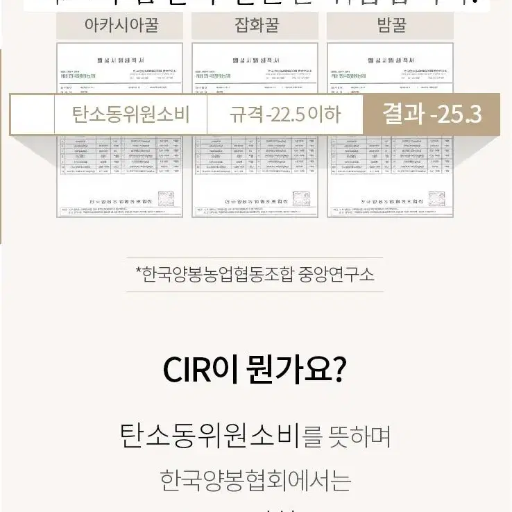 끌레르허니 천연 꿀스틱 30포 답례품 결혼식 어린이집