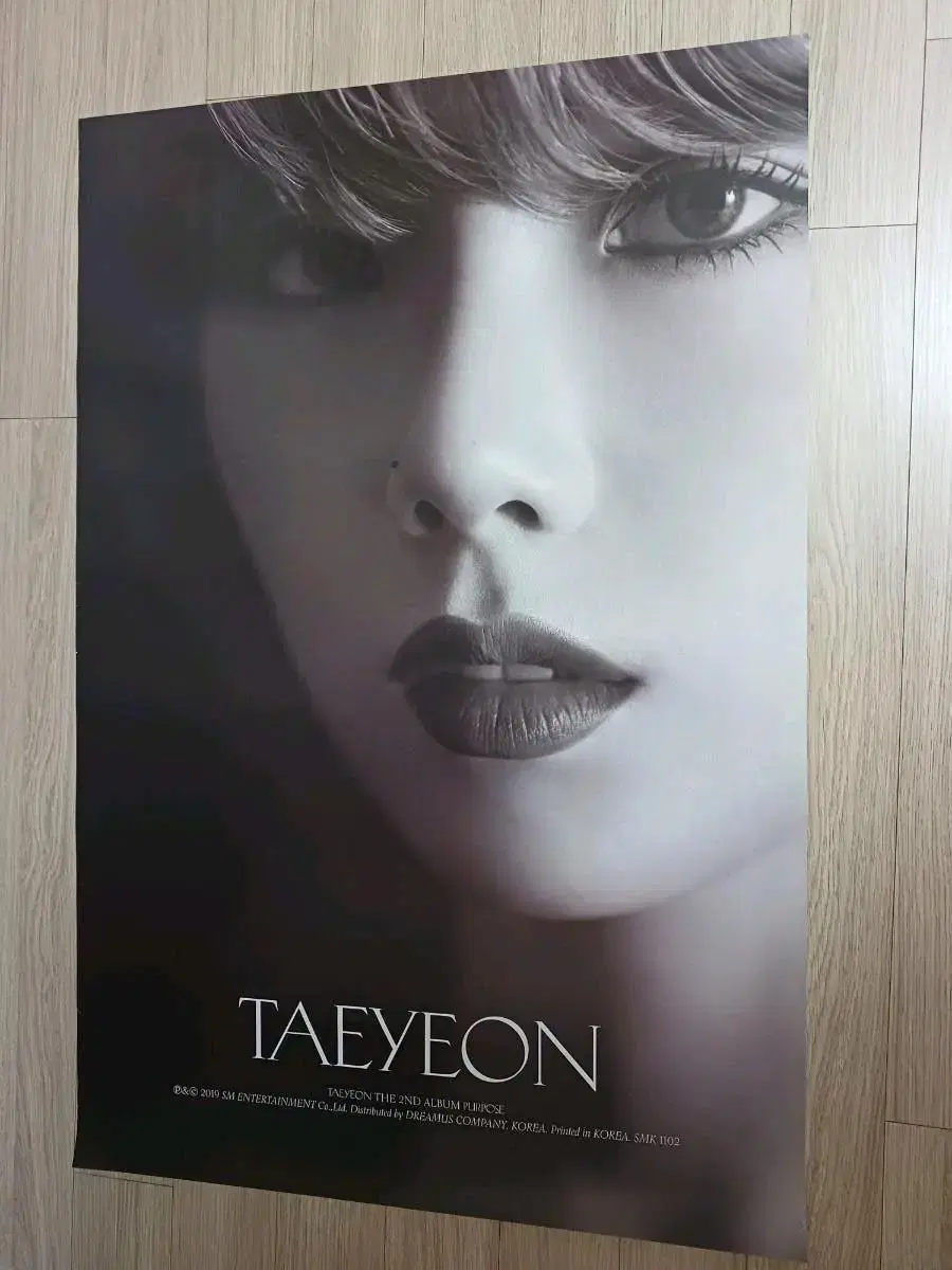 Girls' Generation taeyeon poster for their 2nd album Purpose.