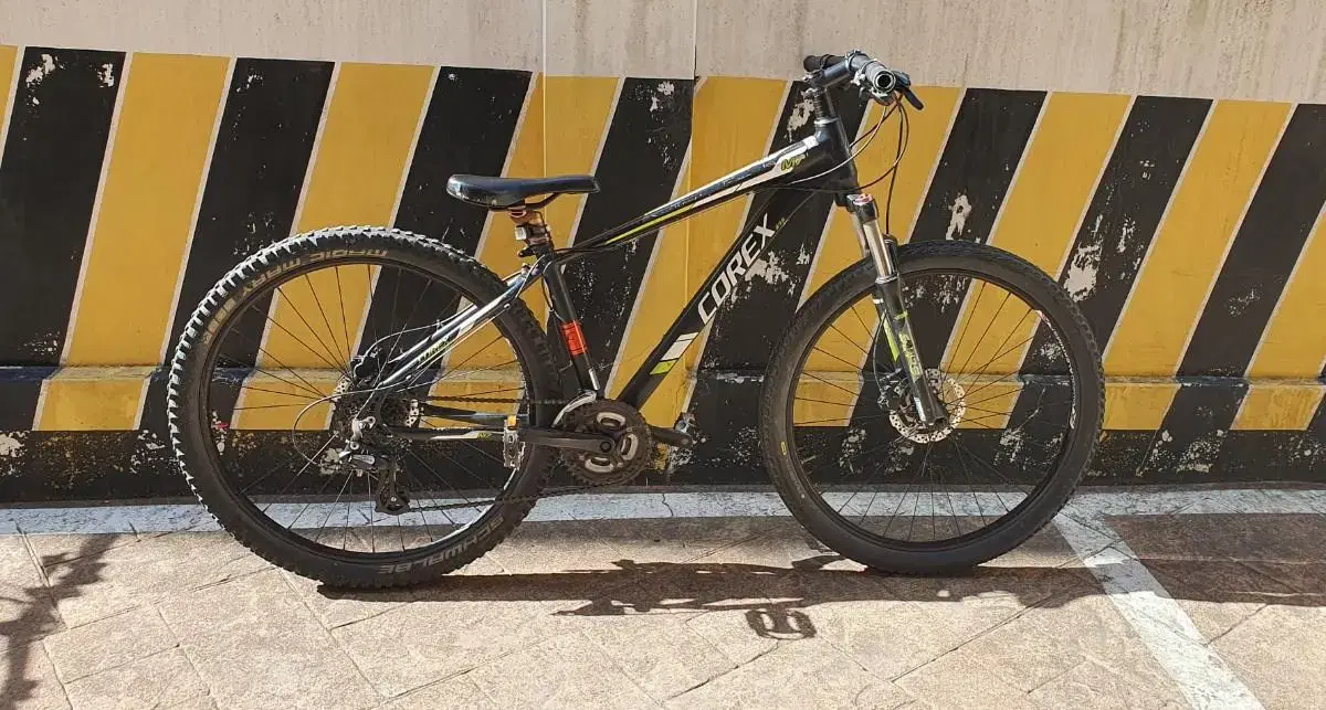 trinx majest 166