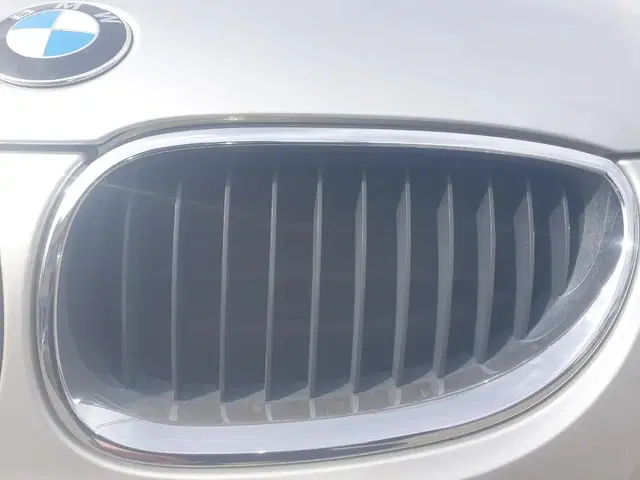 bmw e60 라디에이터 그릴 양쪽