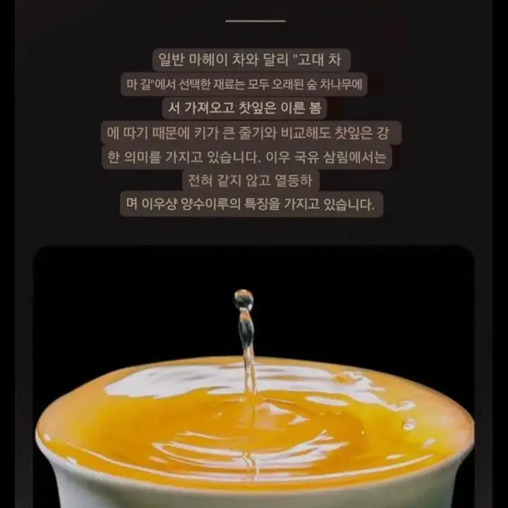 차마고도 보이차