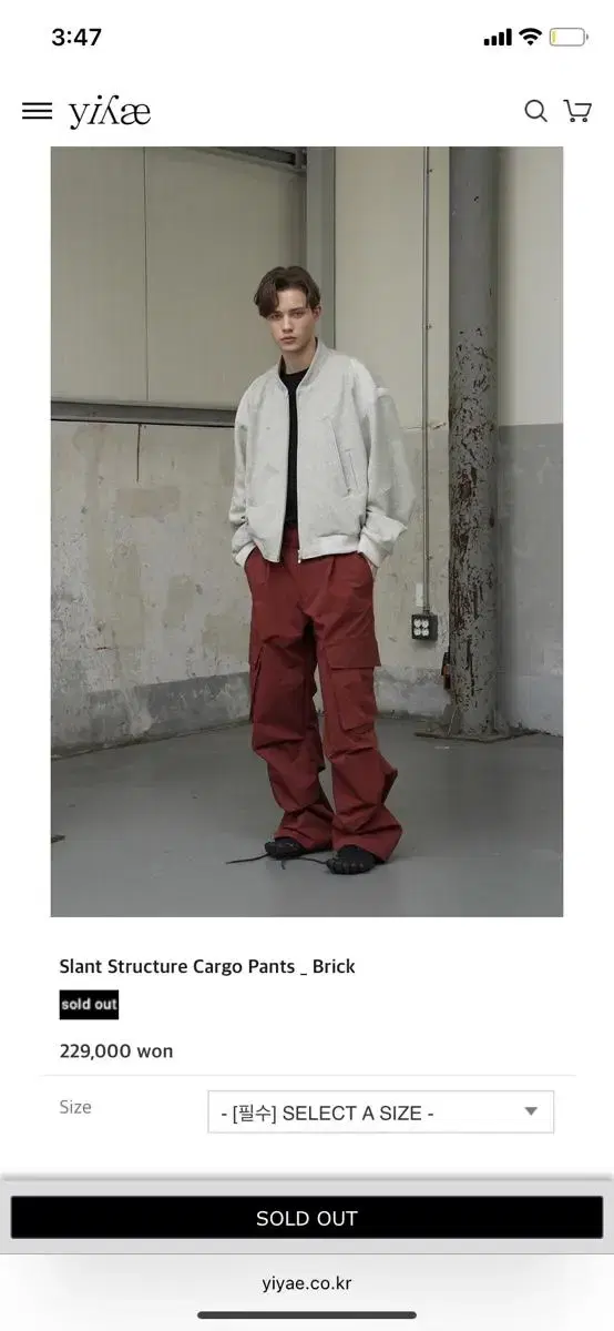 (M) Yiyae Yiyae Cargo Pants Brick New Arrivals