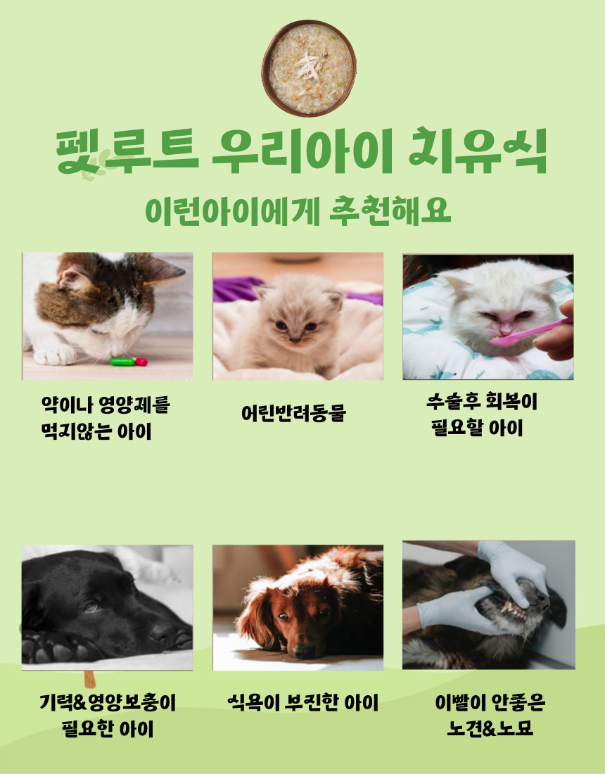 강아지,고양이 치유식 영양죽 120g 20개