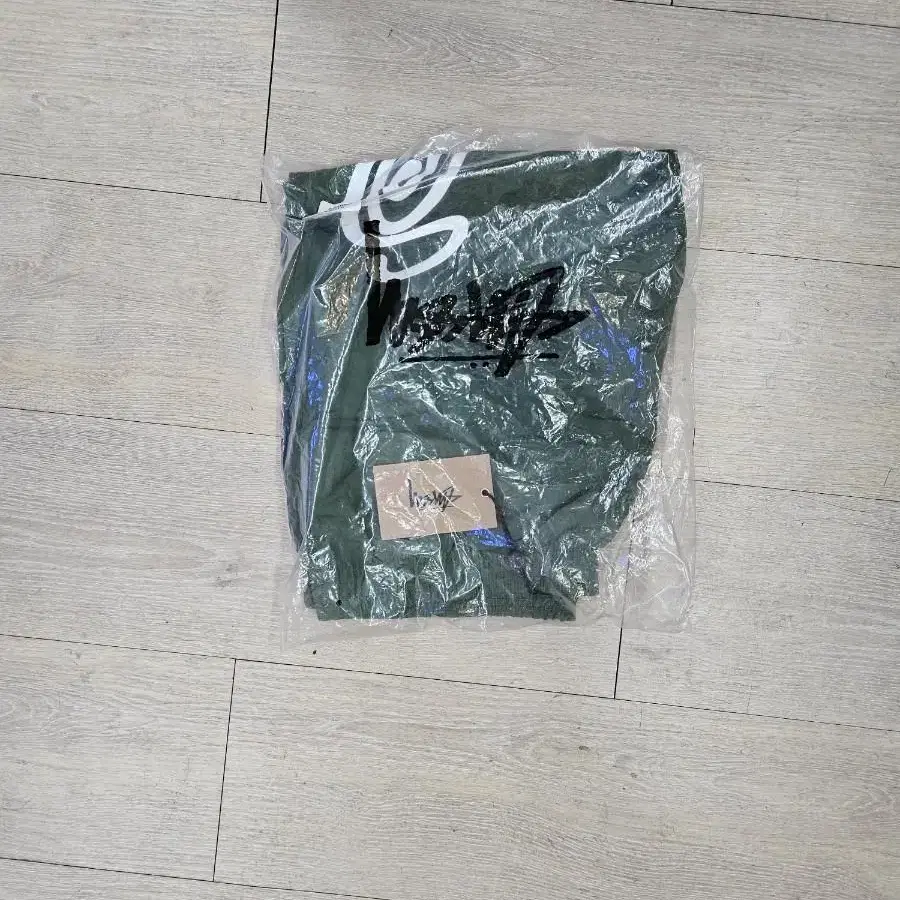 stussy 스투시 컬리S 워터숏츠  파인그린