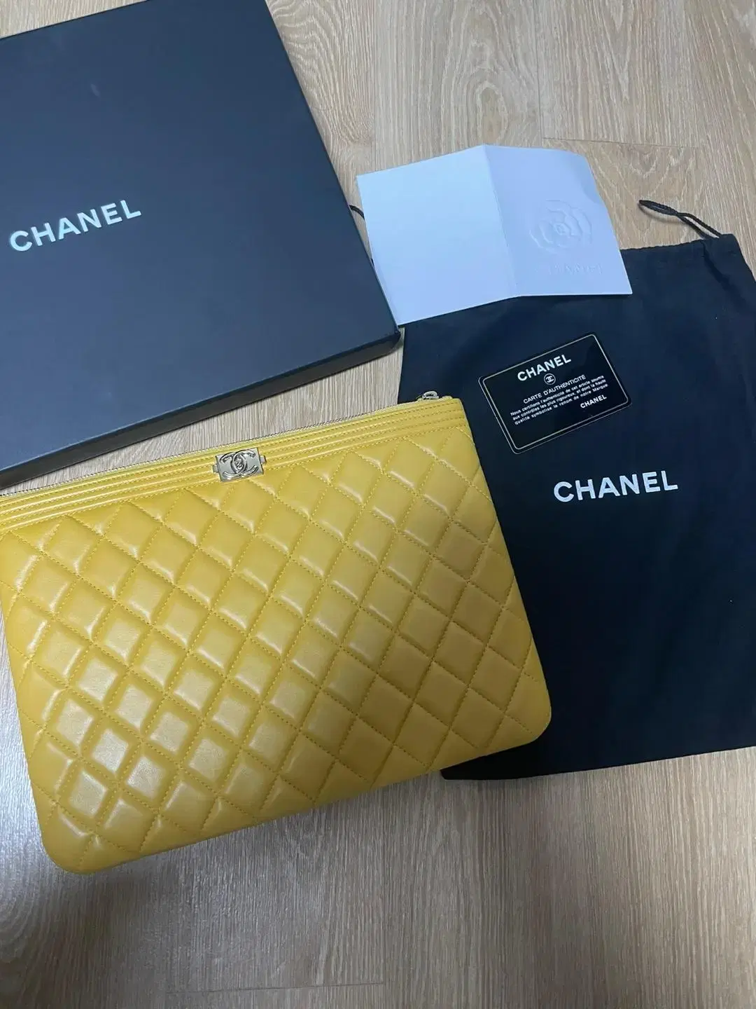 Chanel Boy Classic Clutch Medium Special Color Full Park