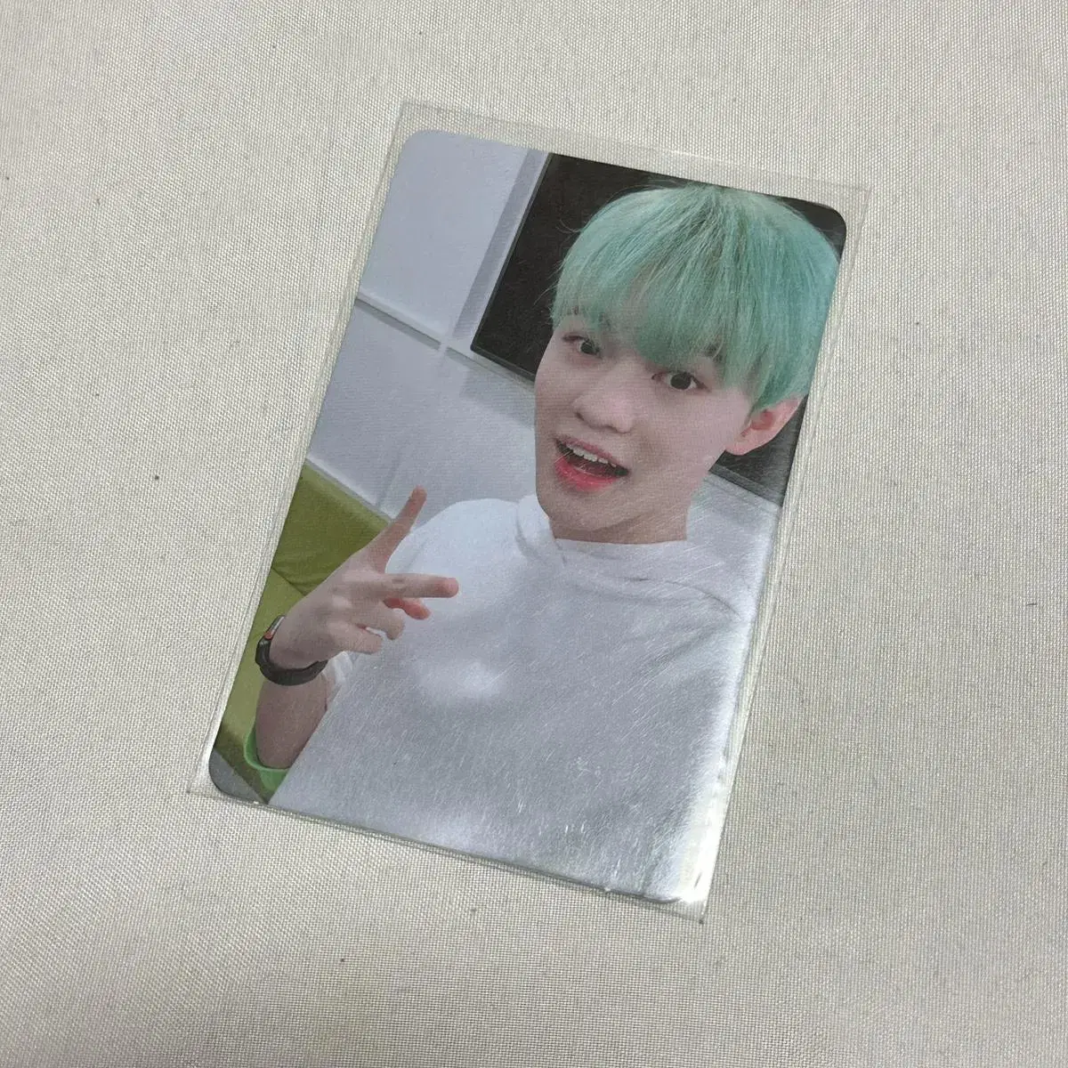 Chenle Dream Show photocard wts Sell cabbage chenle 