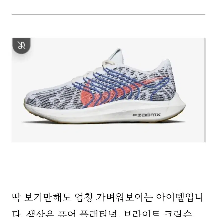 나이키 페가수스 터보 넥스트 네이처