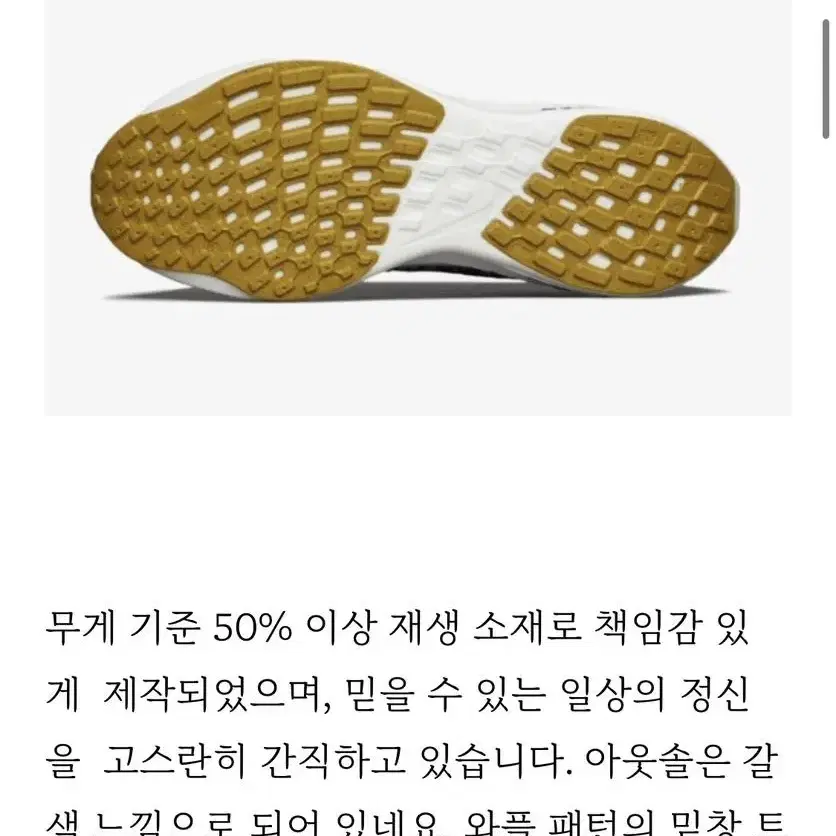 나이키 페가수스 터보 넥스트 네이처