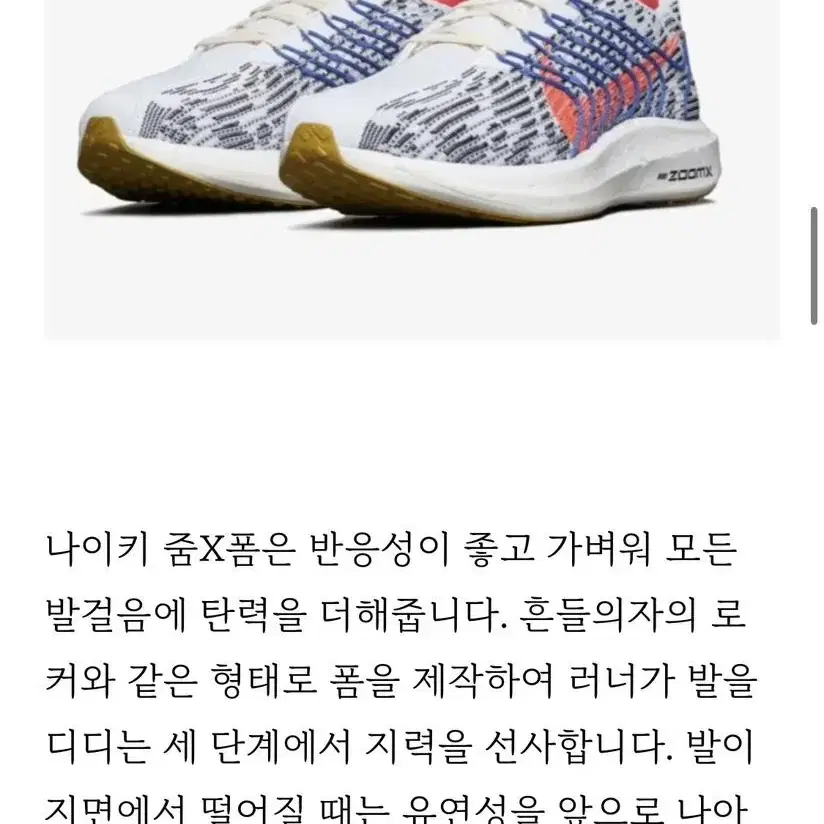 나이키 페가수스 터보 넥스트 네이처