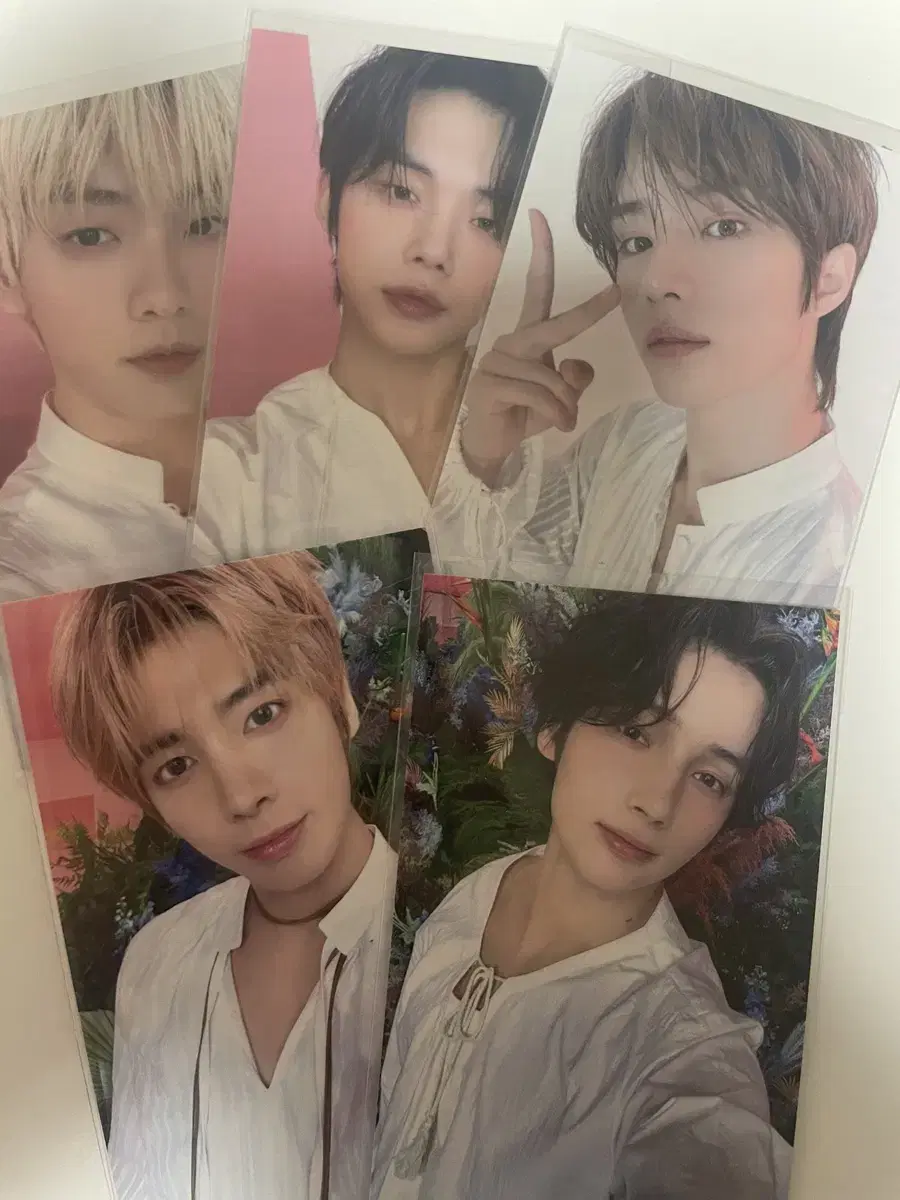 Tubatu Lubsikon Sweetcorn Moa Zone photocard WTS