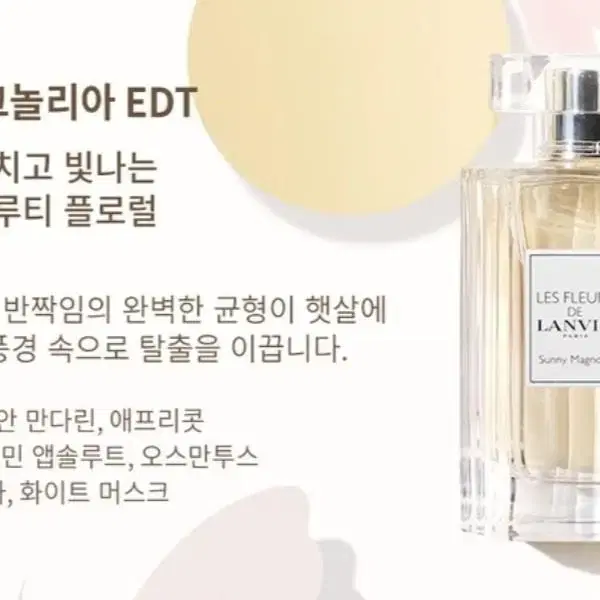 미개봉 신품) 랑방 레 플레르 써니 매그놀리아 50ml