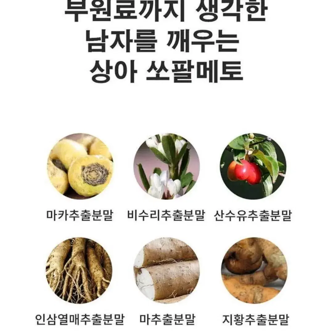 상아제약 남자를 깨우는 상아쏘팔메토 2개월분