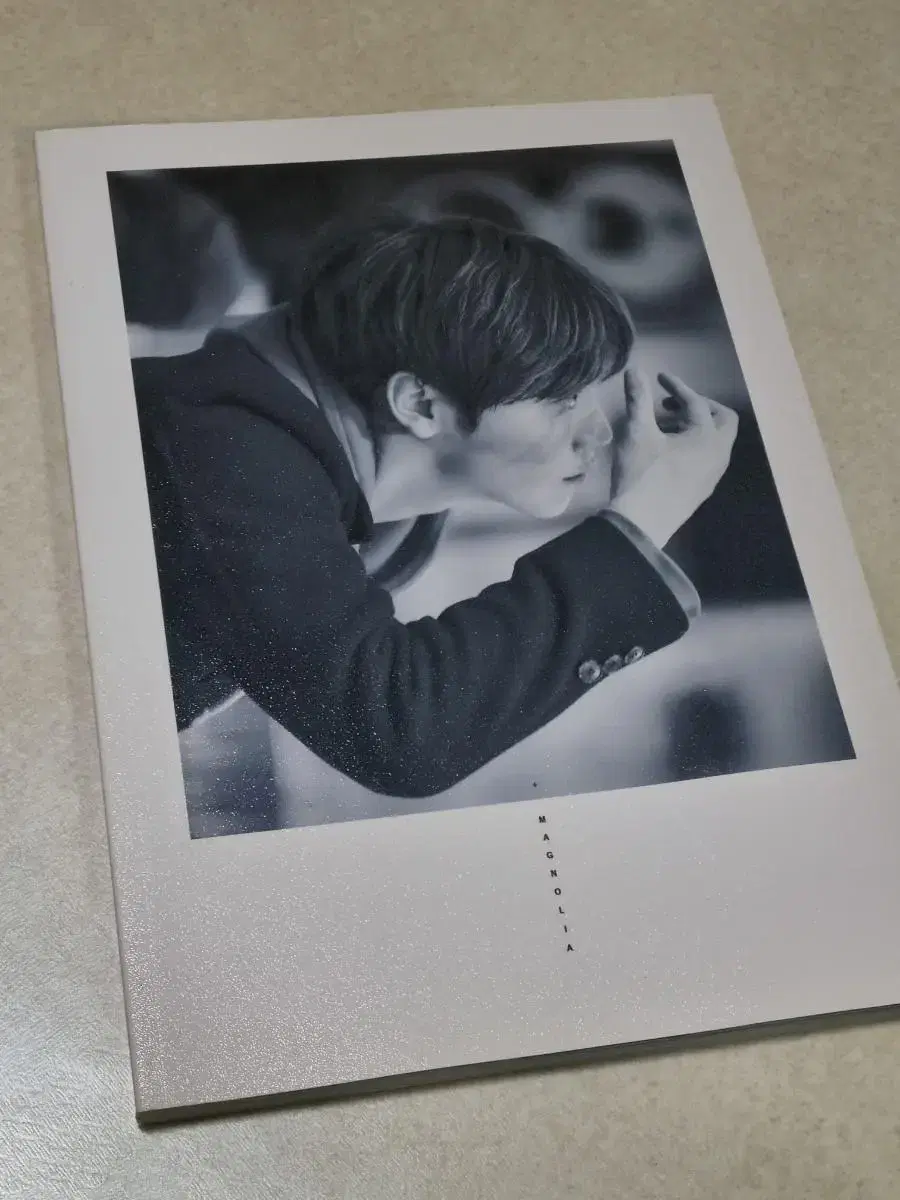 Seventeen seungkwan Homemade Photobooks