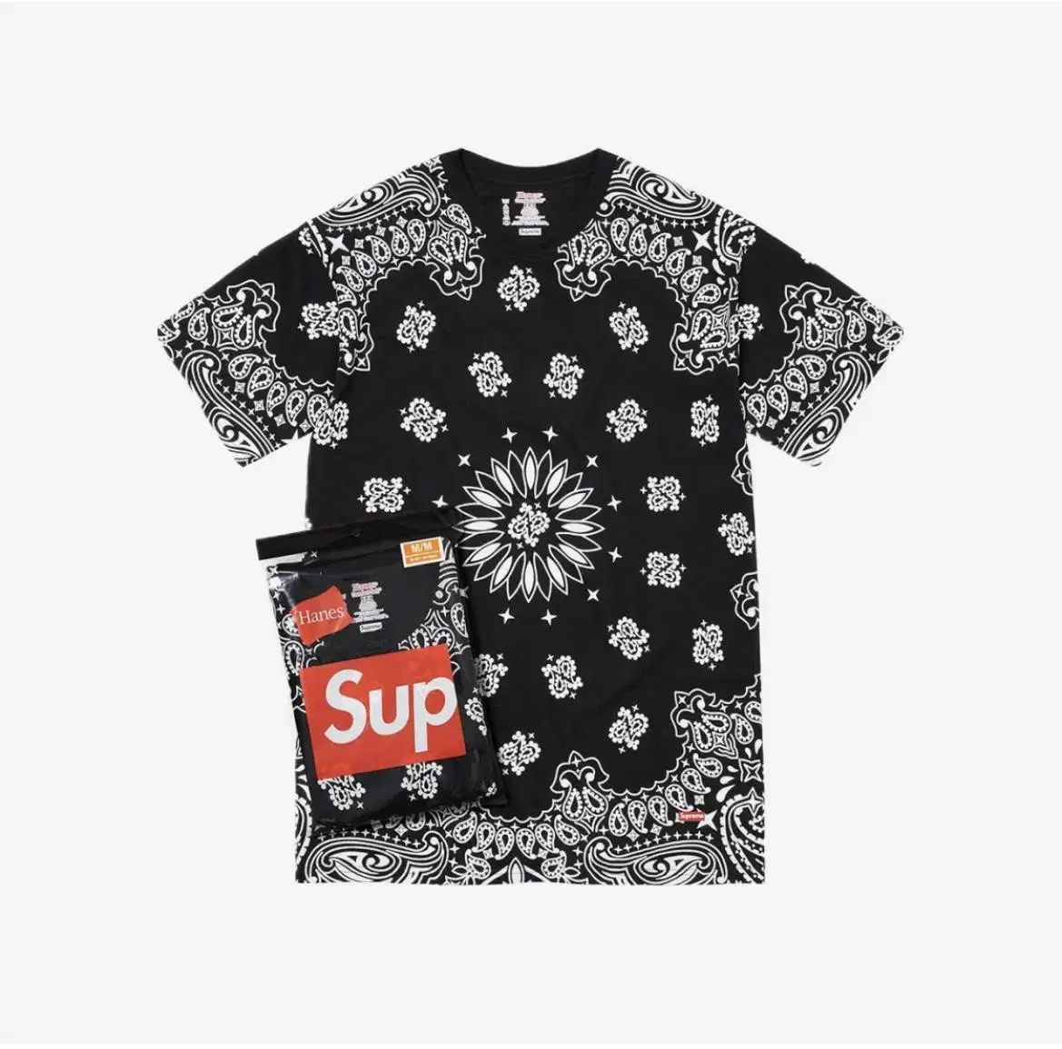 (Same day) Supreme Bandana T-Shirt