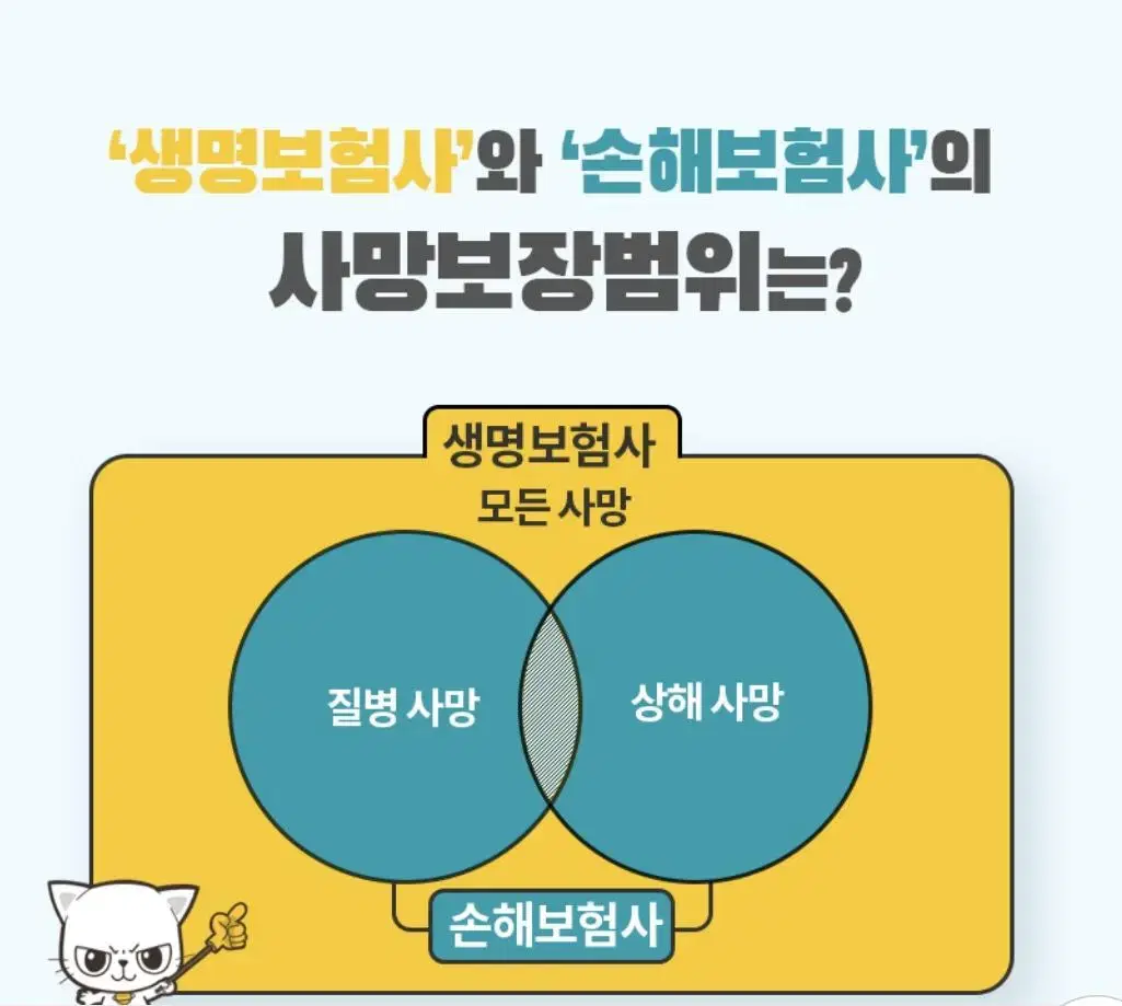 정기보험?종신보험? 무엇이 다른가요?