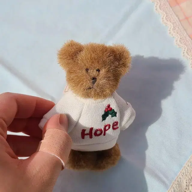 sale)보이즈베어 크리스마스 hope 쪼꼬미 인형