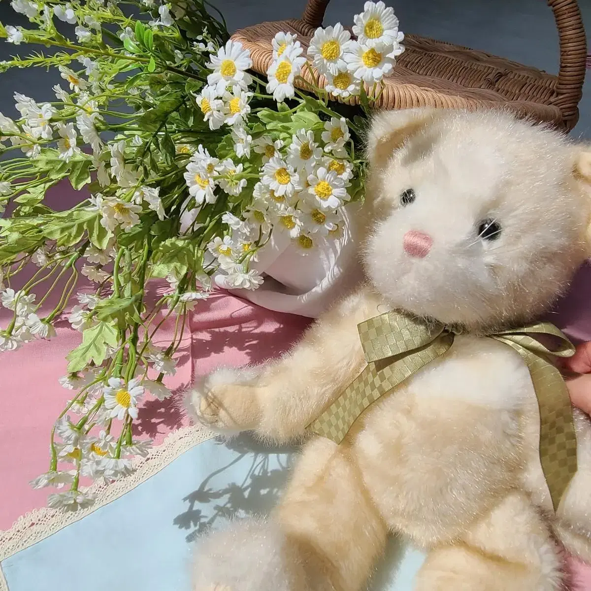 Boys Bear Cheese Cat doll Teddy Bear Vintage Interior Antique Props