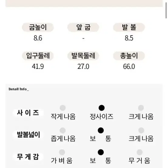 더레이디 싸이하이 롱부츠