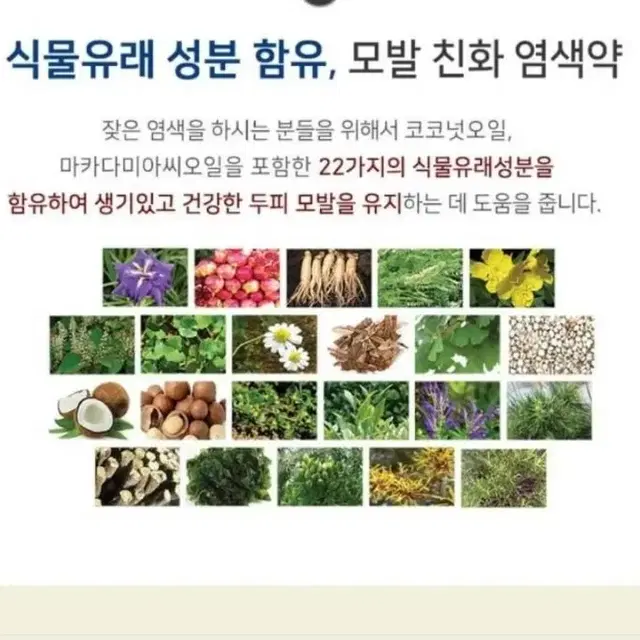 렛미모 원스텝 슈퍼브 헤어칼라 새치염색약 5개(총25회분)