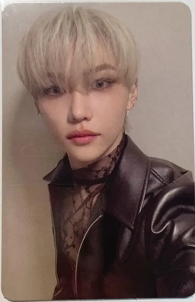 Straykids skz Ordinary felix photocard Photocard