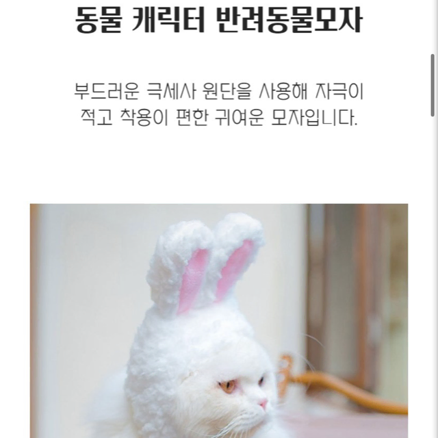 강아지 고양이 극세사 흰토끼 모자 새것 s