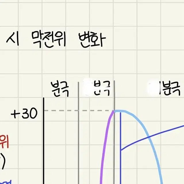 생명과학I [ 뉴런 & 막전위 ] 2023수능 1등급(50)