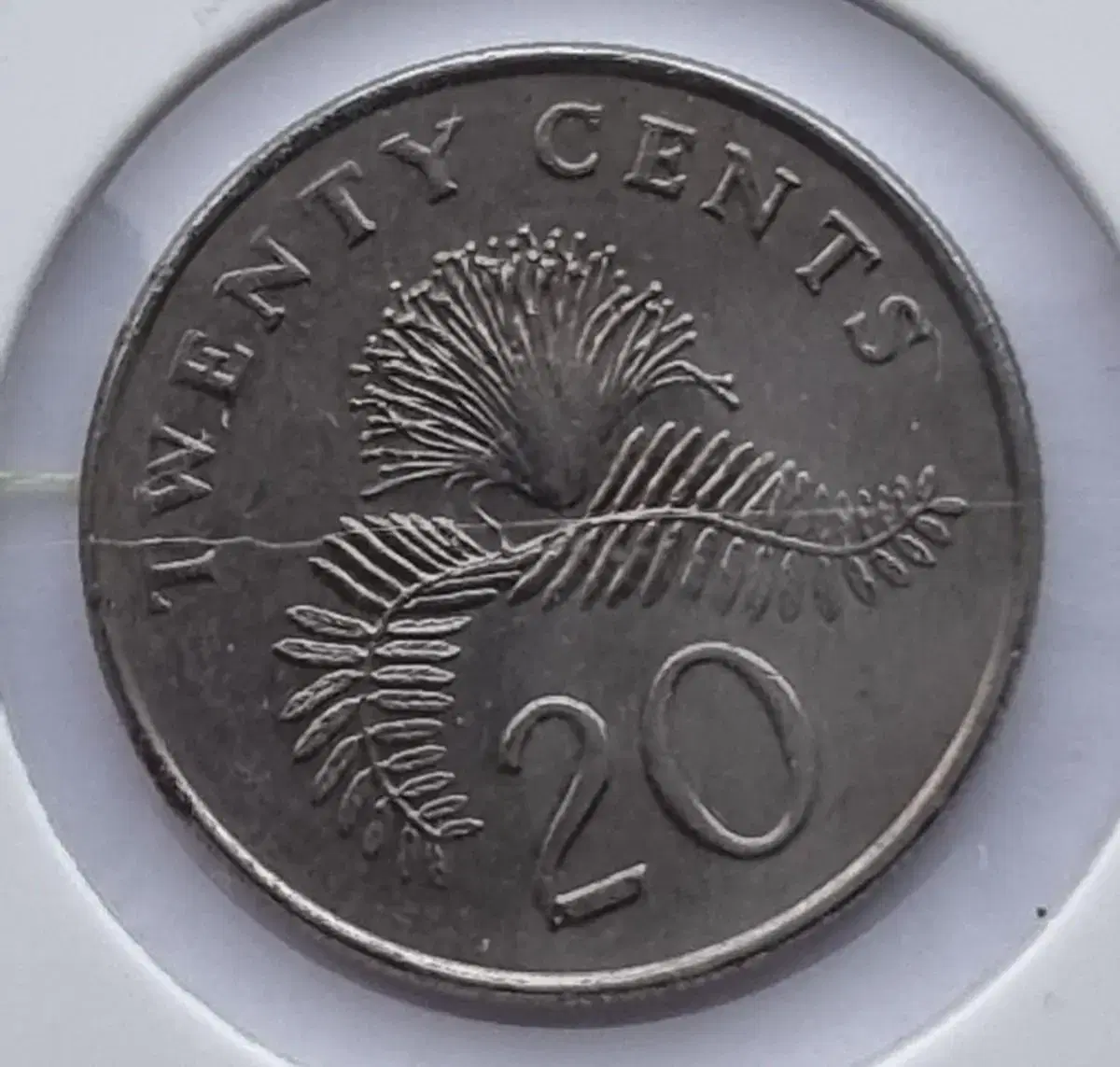 아랍에미리트 1디르함 주화 | 브랜드 중고거래 플랫폼, 번개장터