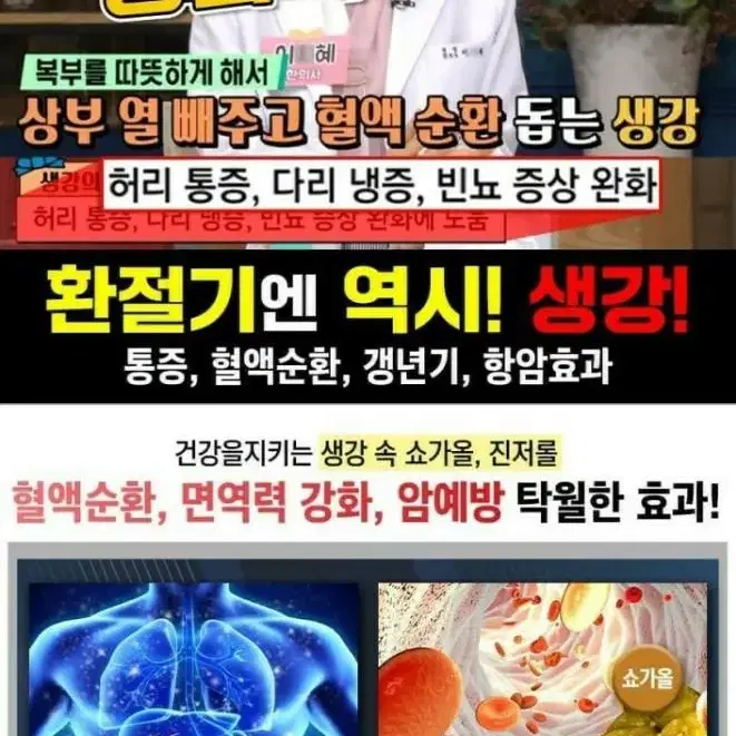 인기제품 )보약 생강젤리