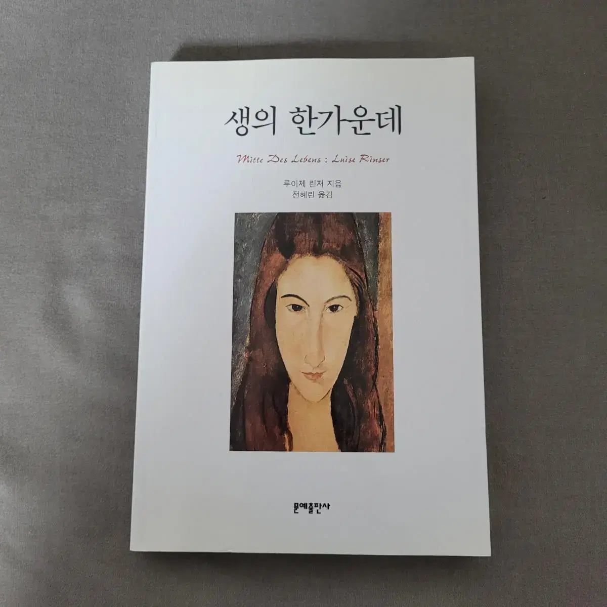 생의 한가운데 루이제 린저 장편소설 독일소설 외국소설 책 도서 추천