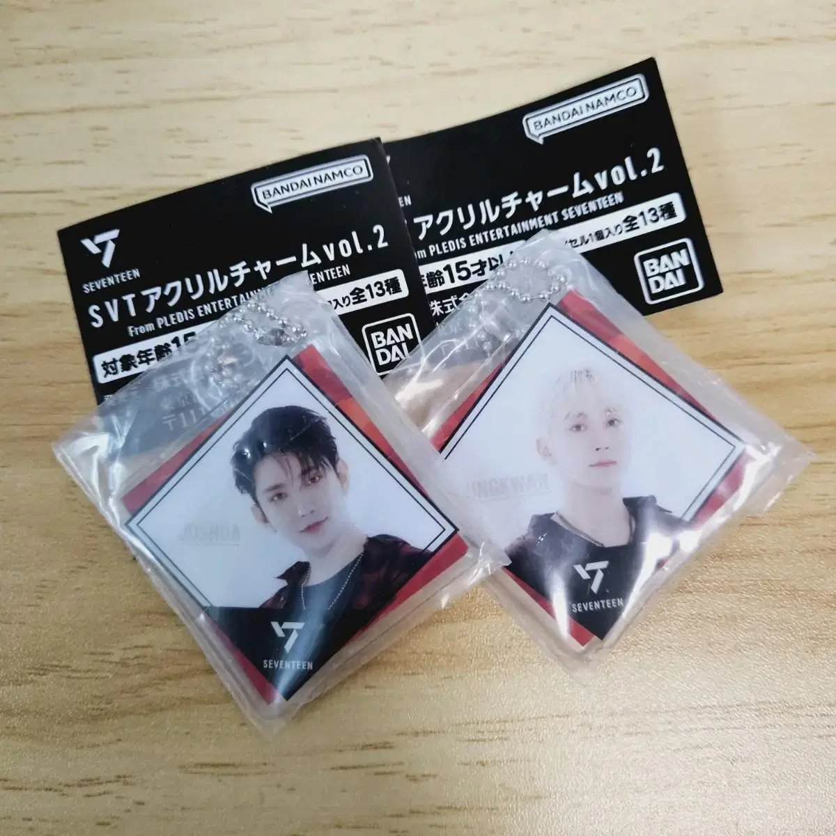 Seventeen acrylic keyring Nihongacha