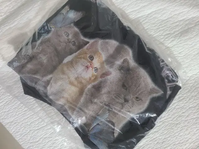 스컬프터 고양이 반팔티 kitten box tee