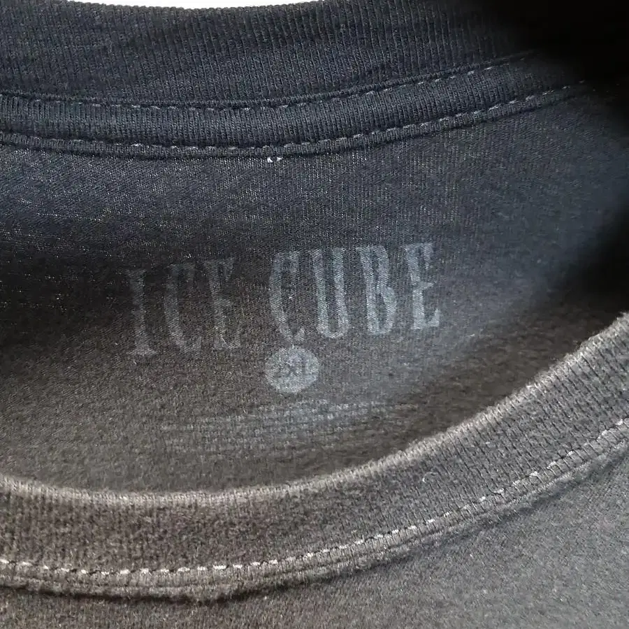 USA IceCube 수입프린팅티셔츠 . XXL