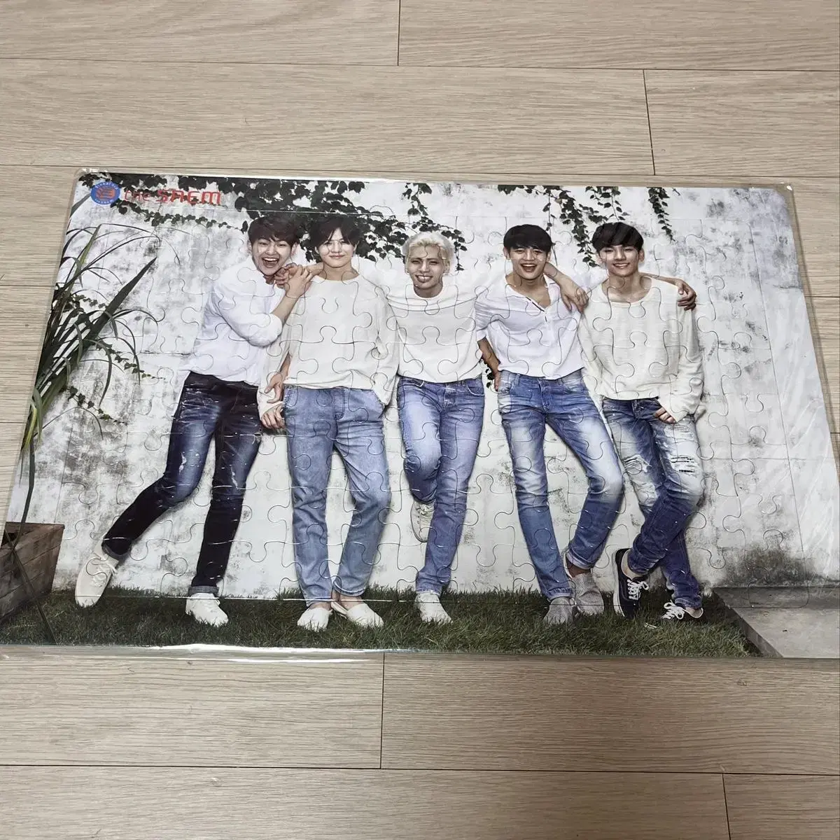 Shinee the Sam Puzzle