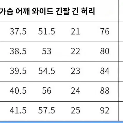 슬램덩크 채소연 코스프레 세트 판매 + 외투 + 가발