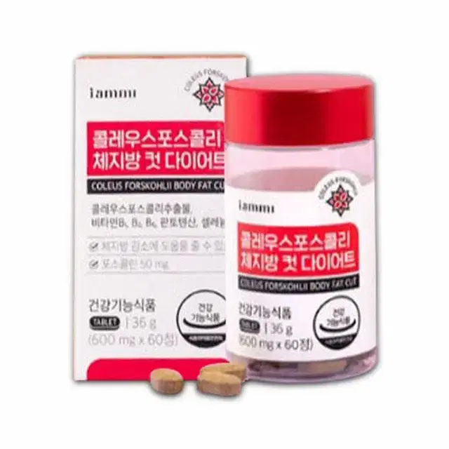 체지방 감소 콜레우스포스콜리 체지방 컷 다이어트 600mg x 60정