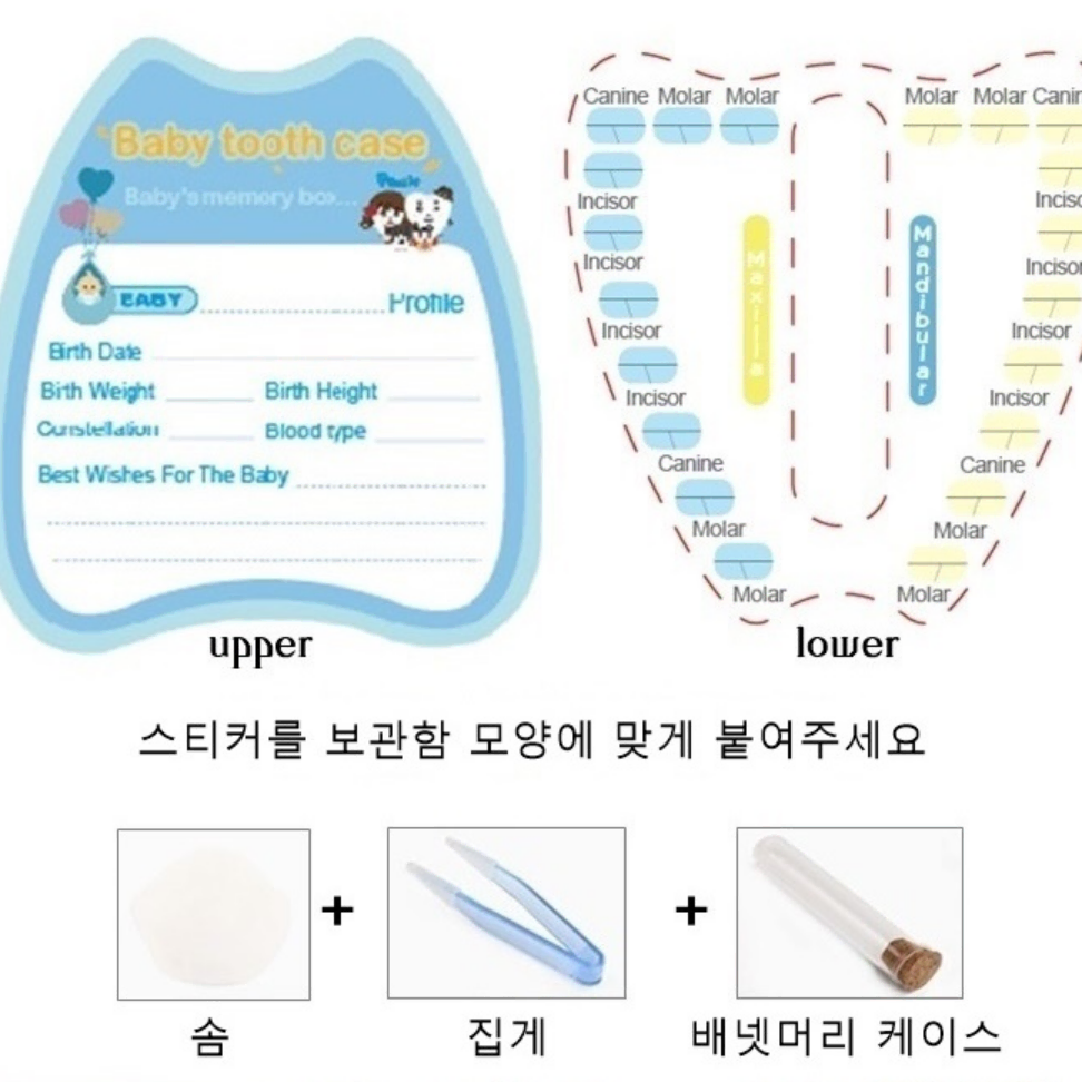 어린이 아들 딸 이빨 출산 선물 배넷머리 치아 유치보관함