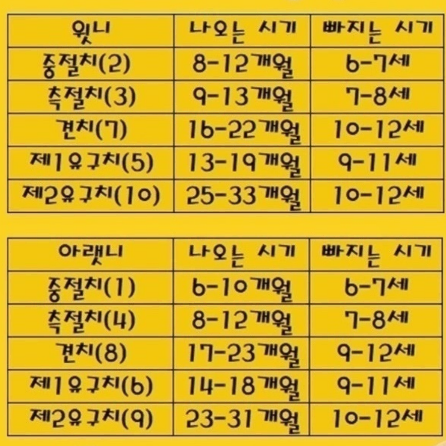 어린이 아들 딸 이빨 출산 선물 배넷머리 치아 유치보관함