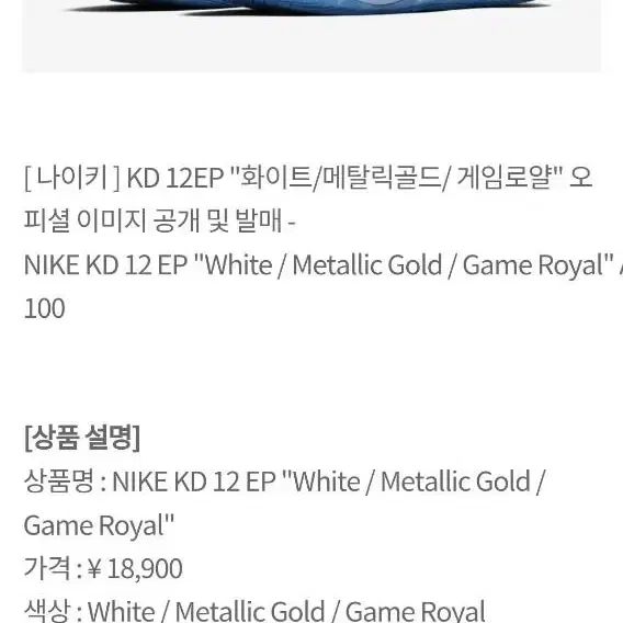 NIKE나이키 줌 KD 12 EP 워리어스 홈300 Zoom Kd