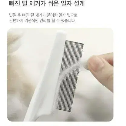 고양이 강아지 브러쉬 스텐 반려동물 빗 사이즈 소