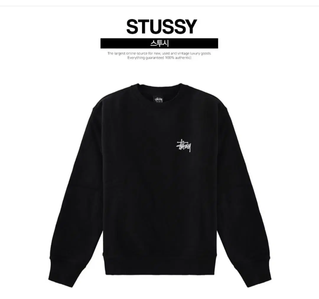 Stussy Big Logo Man to Man