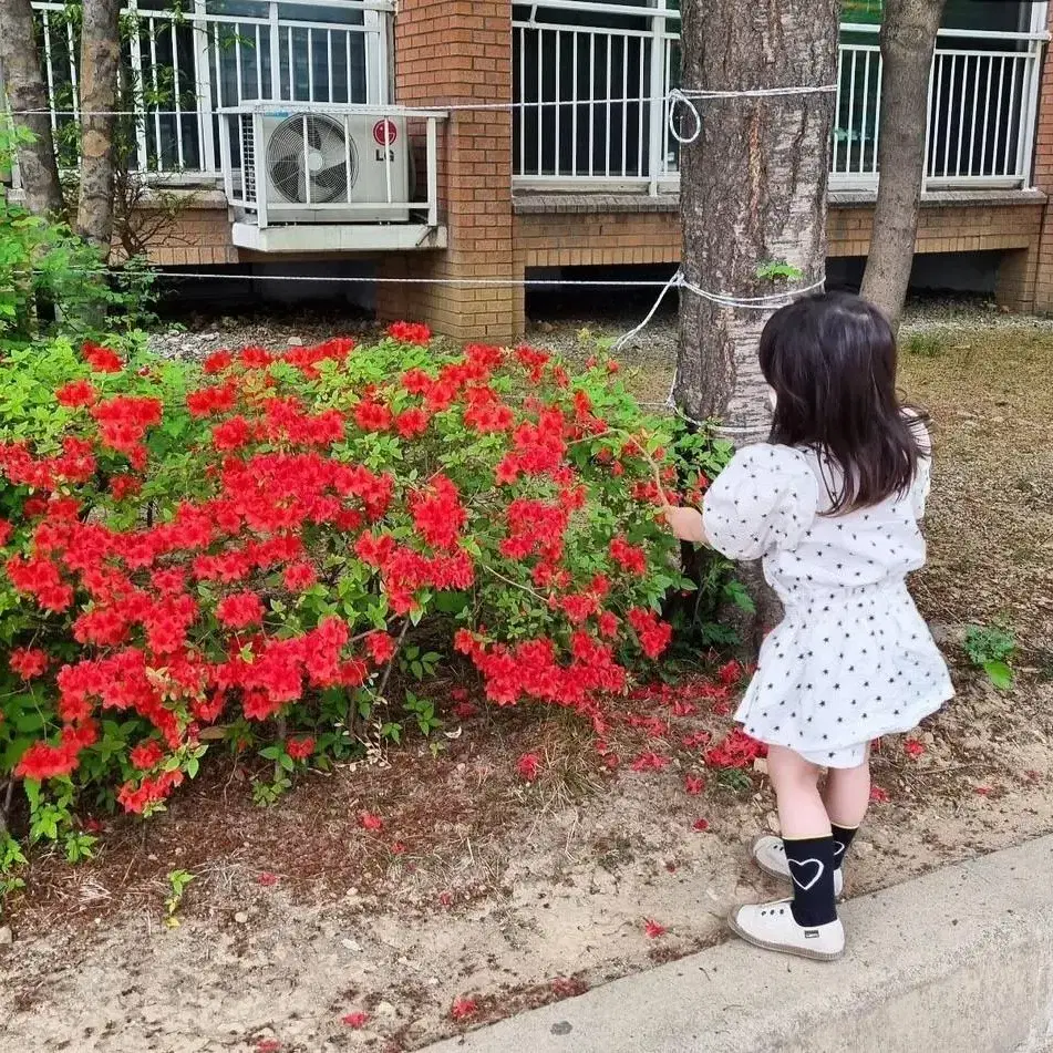 리미떼두두 별 셋업 S +양말