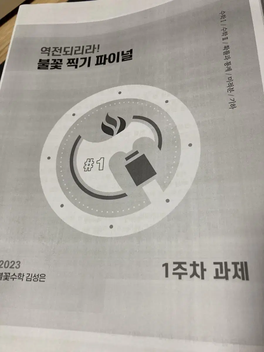 메가스터디 김성은 현장자료 불꽃 찍기 파이널