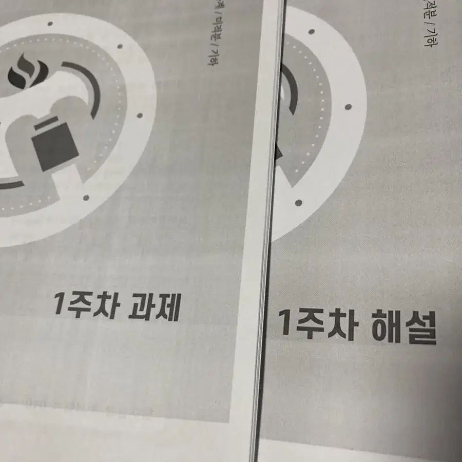 메가스터디 김성은 현장자료 불꽃 찍기 파이널