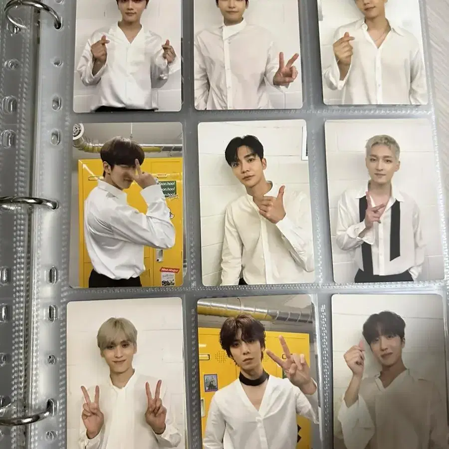 SF9 포카 양도 (영빈인성재윤다원로운주호태양휘영찬희)