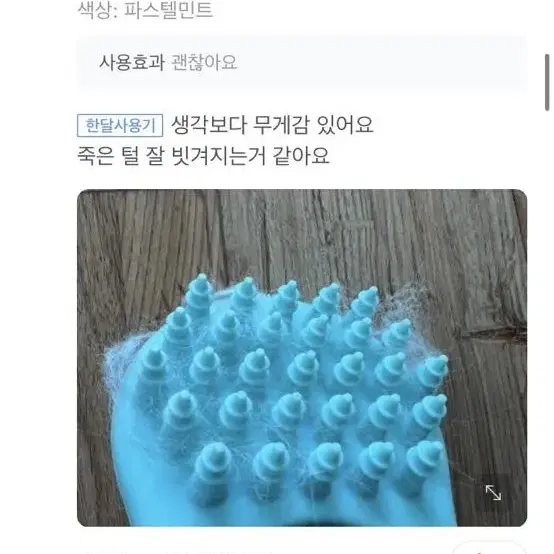 펫모이스 강아지빗 애견미용 고양이빗 실리콘 브러쉬